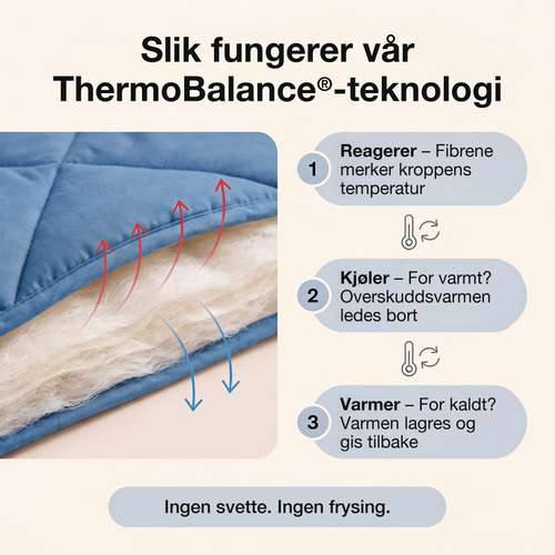 EasySleep® 2-i-1-dyne som gjør sengetøyet overflødig