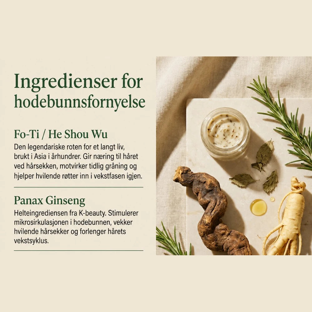 Ingredienser: Fo-Ti og Panax Ginseng